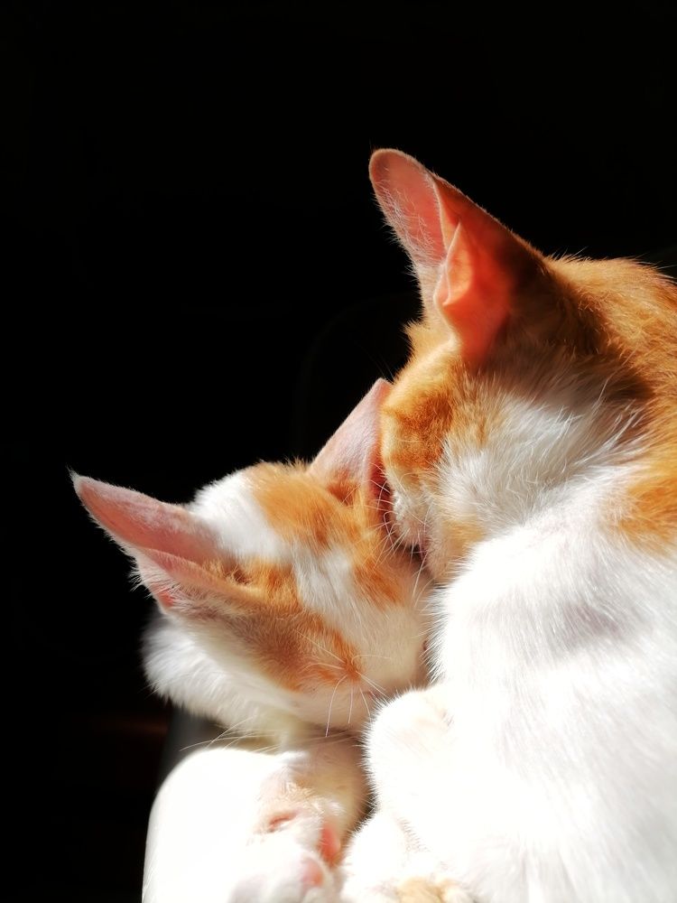 Фотография автора Abhitha