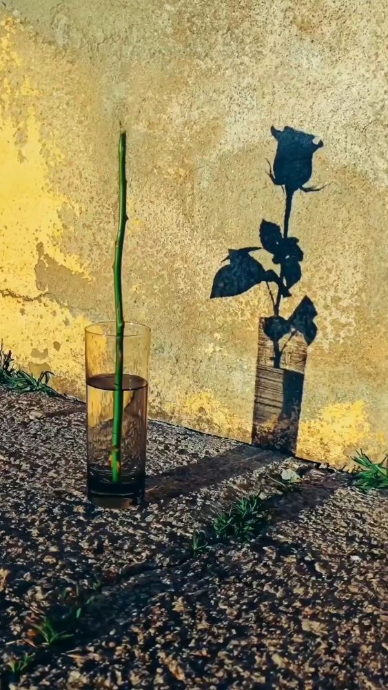 Фотография автора Вячеслав