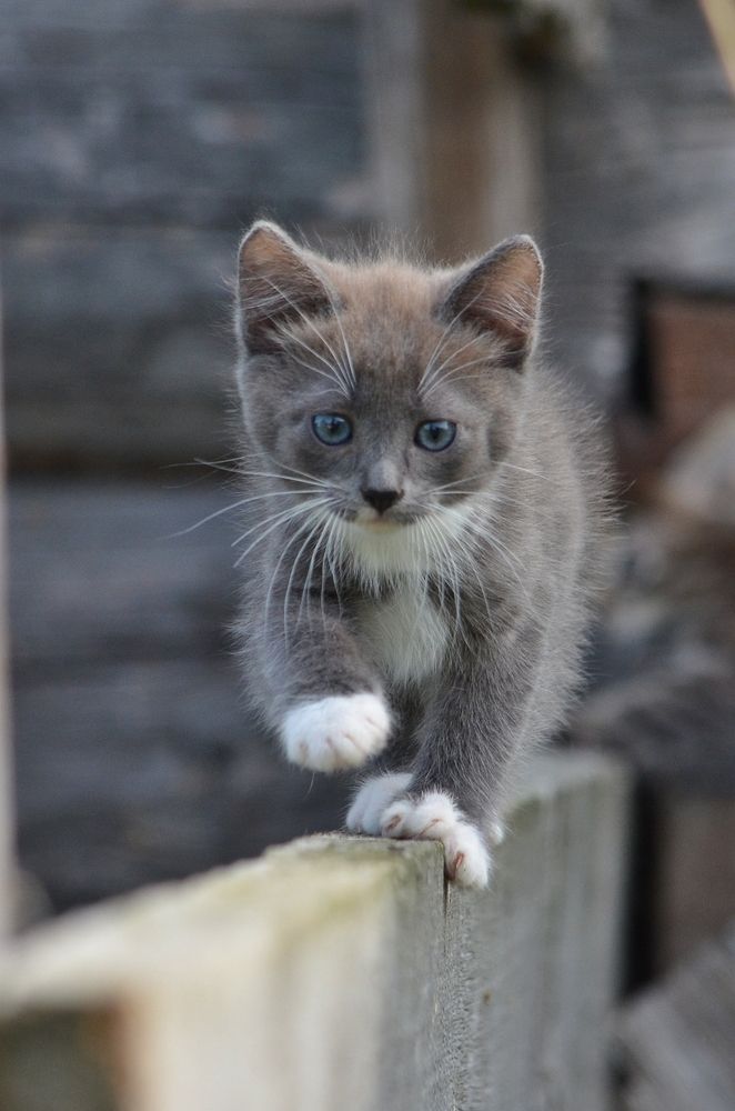 Photograph by Галина Катанова