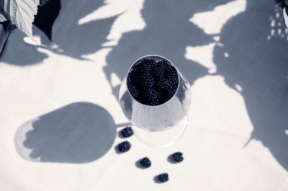 Photograph by Dina Garipova
