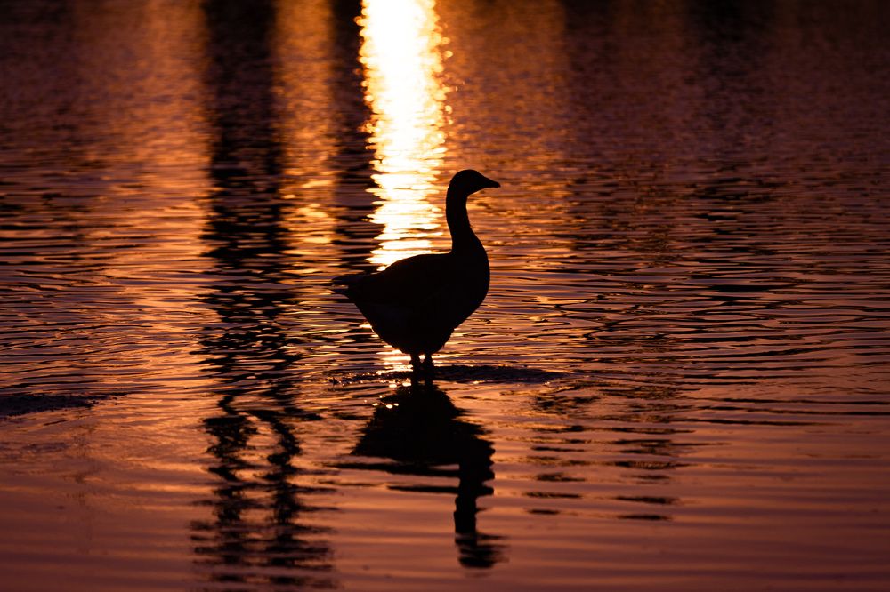 Photograph by Siarhei Saladukhin