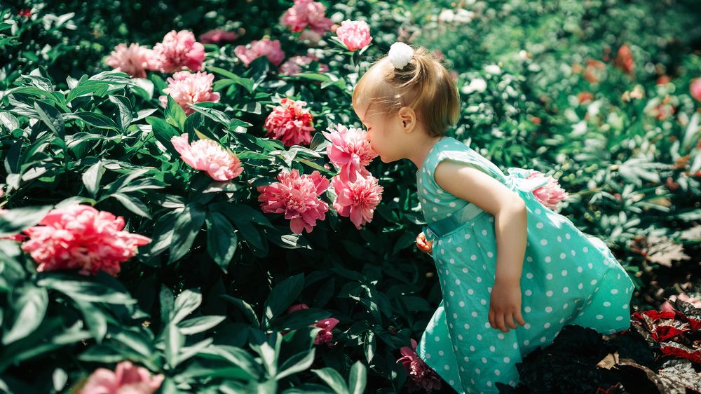 Photograph by Роман Яковенко