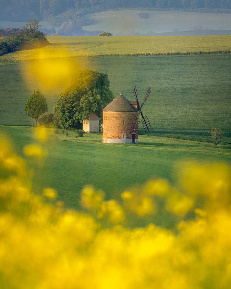 Photograph by Roman Squall