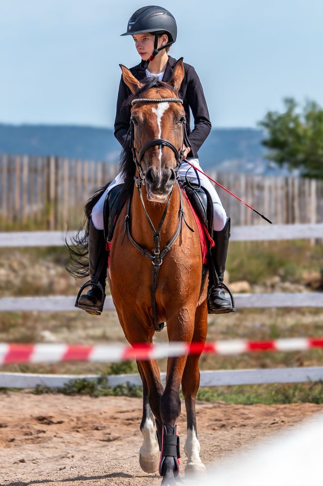 Photograph by Геннадий Лосев