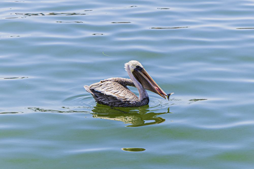 Photograph by Yenia Leyva