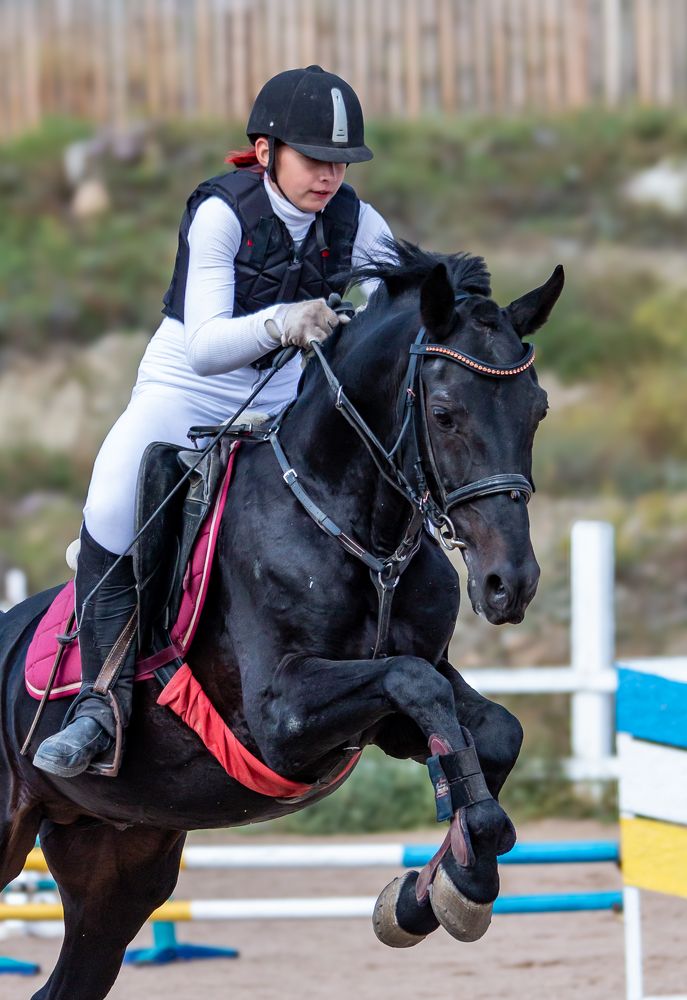 Photograph by Геннадий Лосев