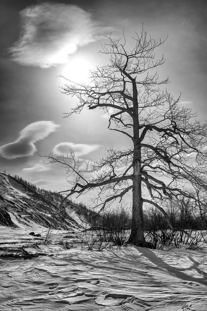 Страж «Чёртова ущелья»