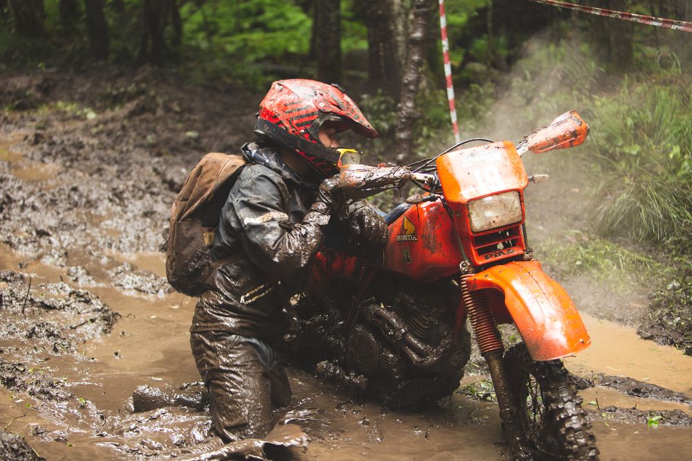 Photograph by Александр Салякаев