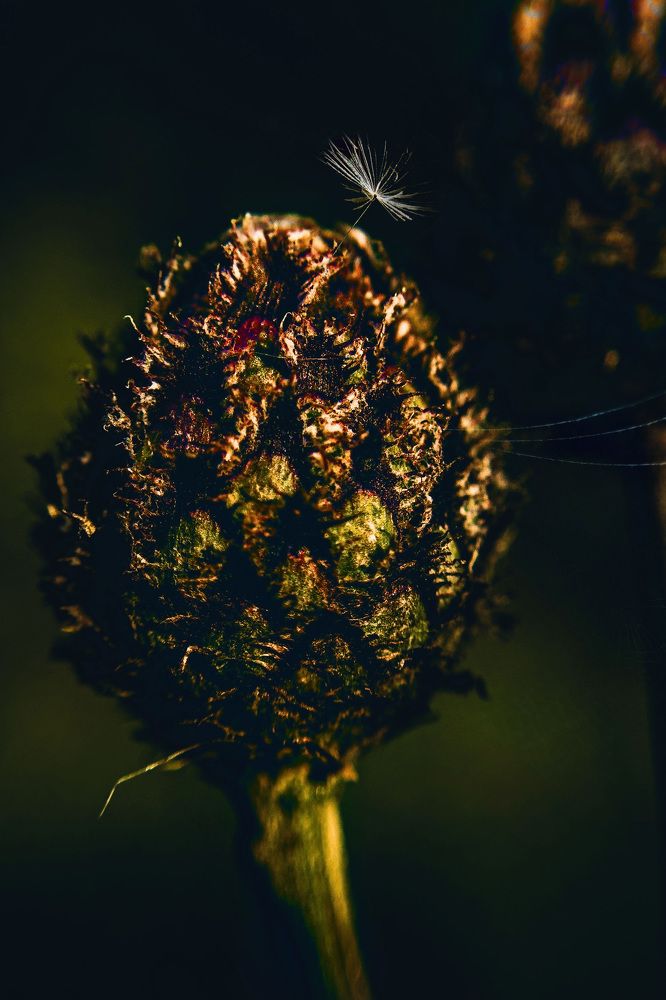 Photograph by Лев Солдатов