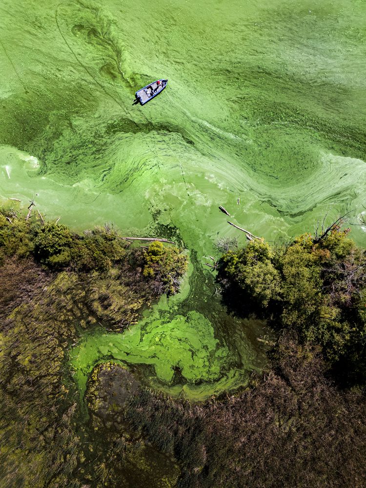 Photograph by Guanhua Yao