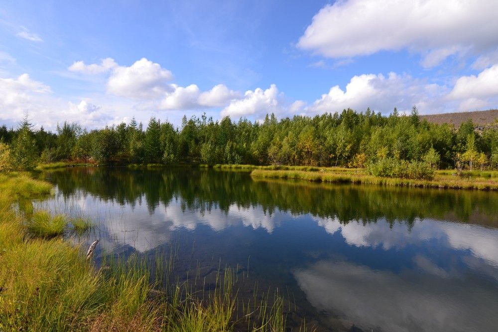 Photograph by Olga Mishenina