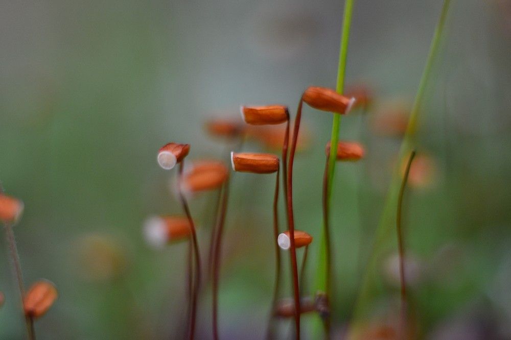 Photograph by Olga Mishenina