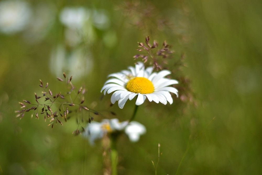 Photograph by Olga Mishenina