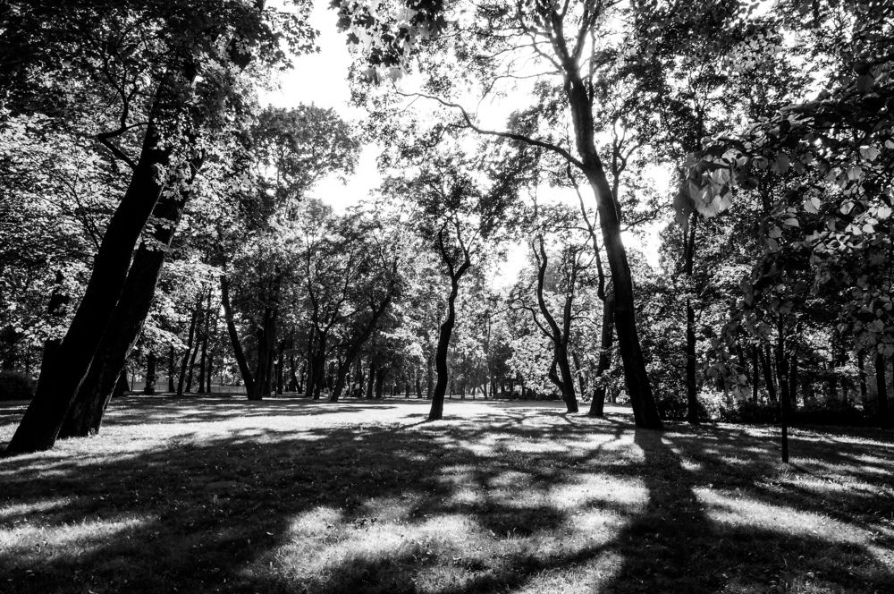 Photograph by Дмитрий Васильев