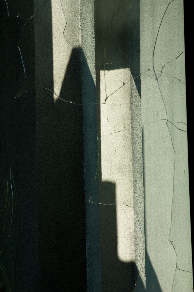 Photo #11035738
