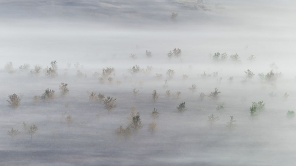 Photograph by Дмитрий Рогов