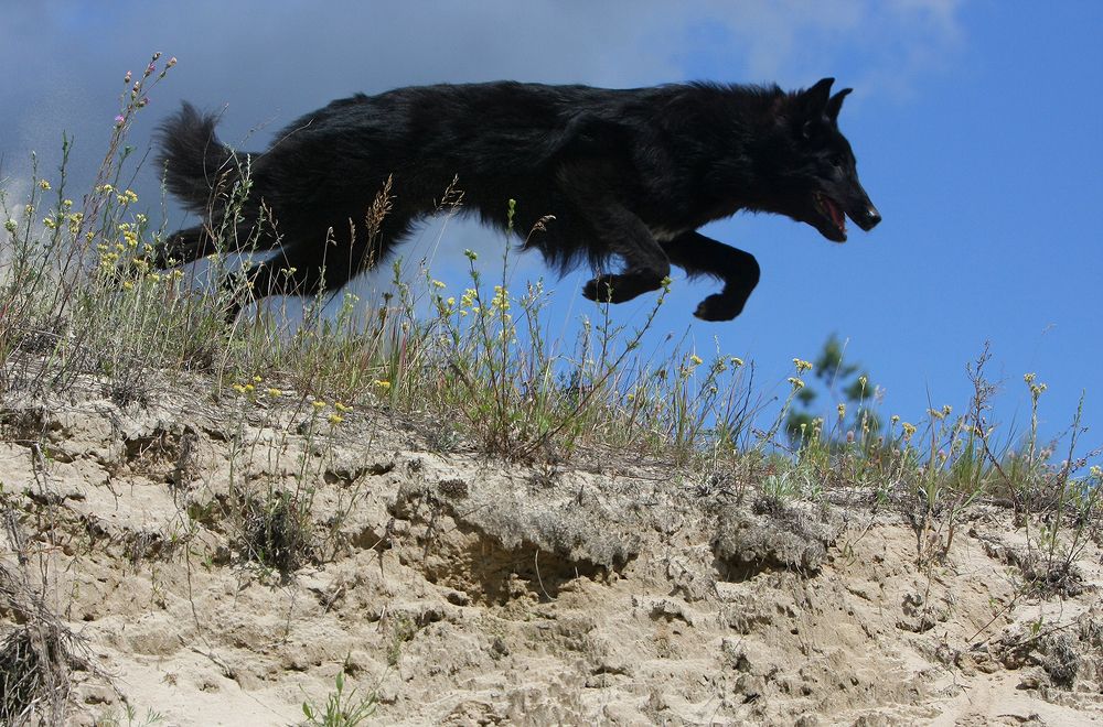 Фотография автора Надежда Лисицына