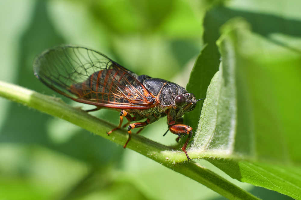 Photograph by Павел Сторчилов