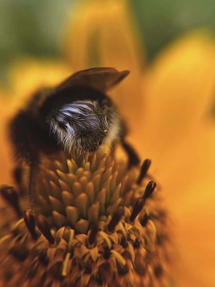 Photograph by Юлия