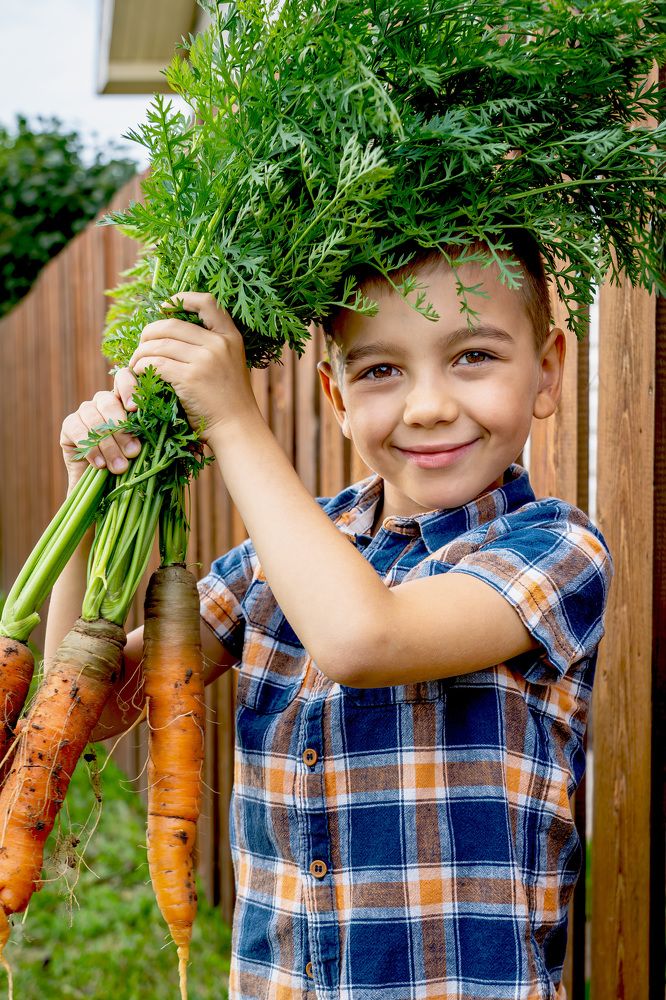Photograph by Светлана Волкова