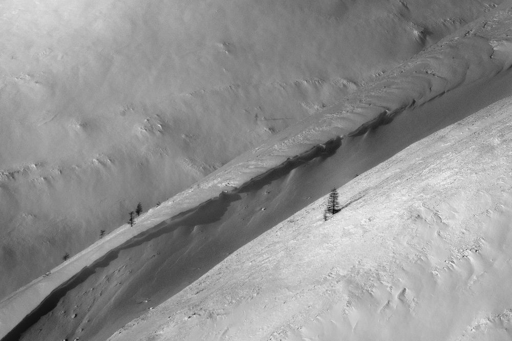 Photograph by Светлана Гореликова