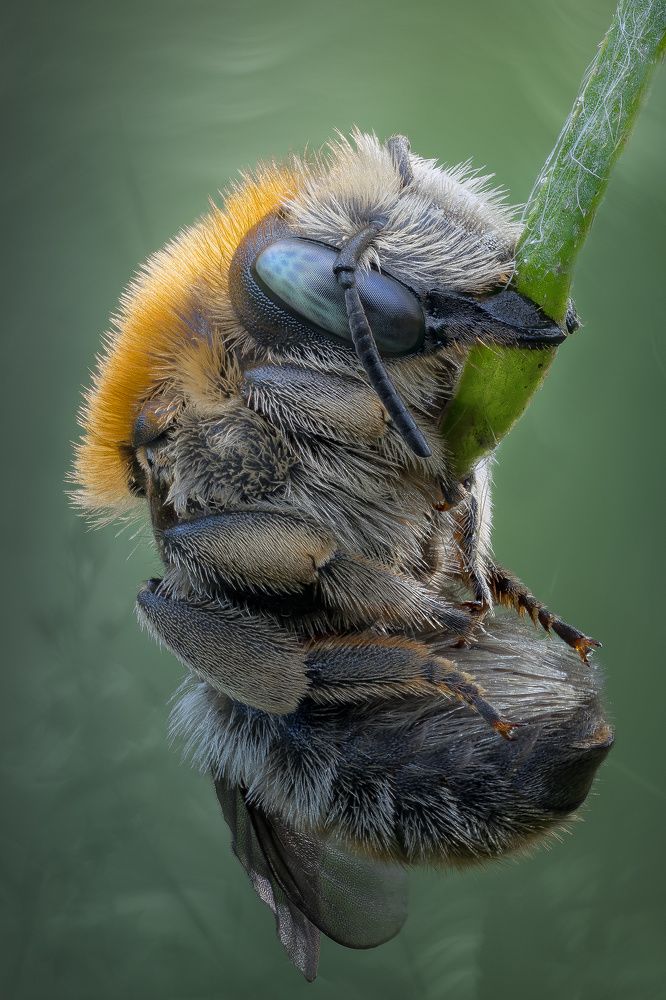 Photograph by Кузнецов Дмитрий