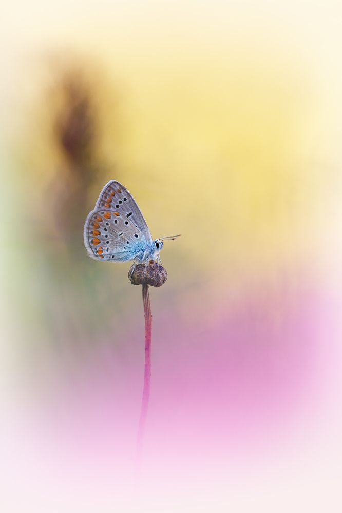 Photograph by Кузнецов Дмитрий