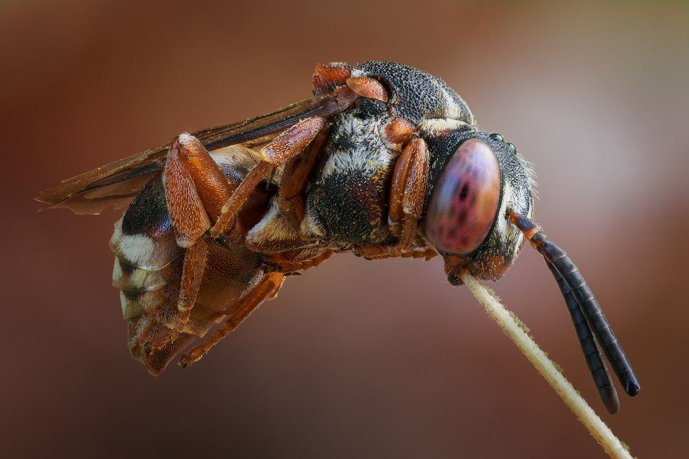 Photograph by Кузнецов Дмитрий