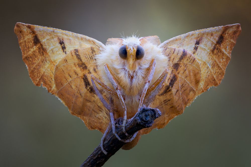 Photograph by Кузнецов Дмитрий