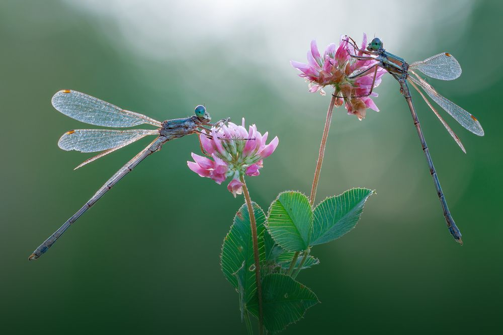 Photograph by Кузнецов Дмитрий