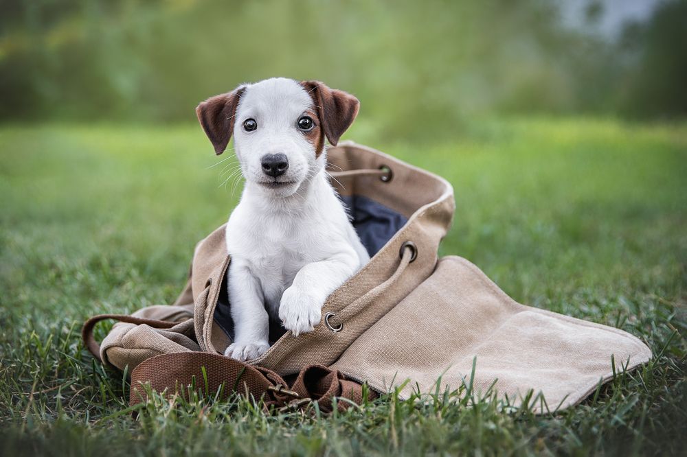 Photograph by Елена Вьюркова