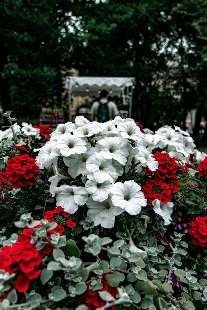 Photograph by Сергей Аникушин