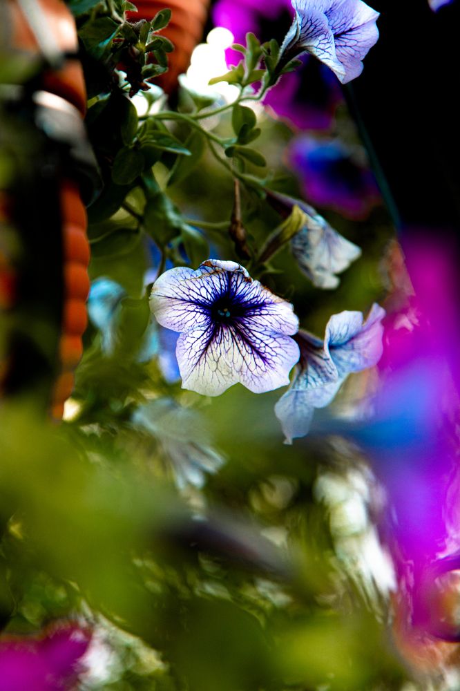 Photograph by Сергей Аникушин