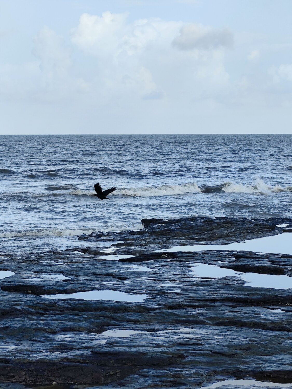 Photo #11036174
