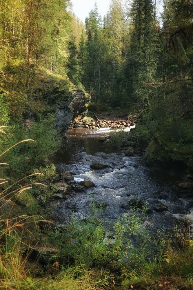 Фотография автора Анатолий Нифантов