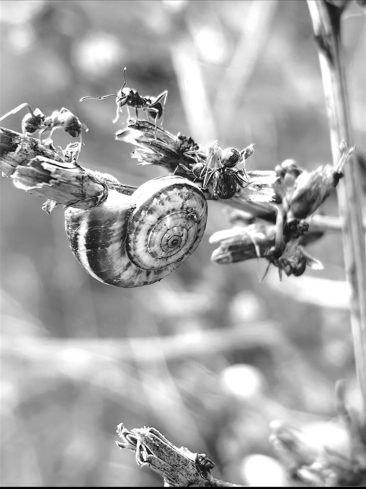 Photograph by Ирина Тихая