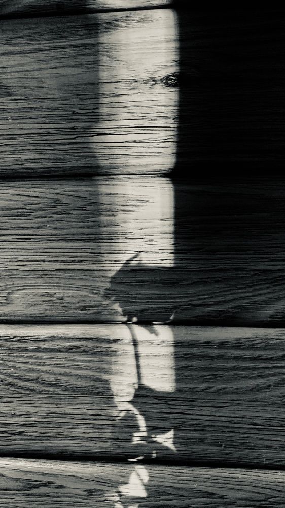 Фотография автора Сережа Диес