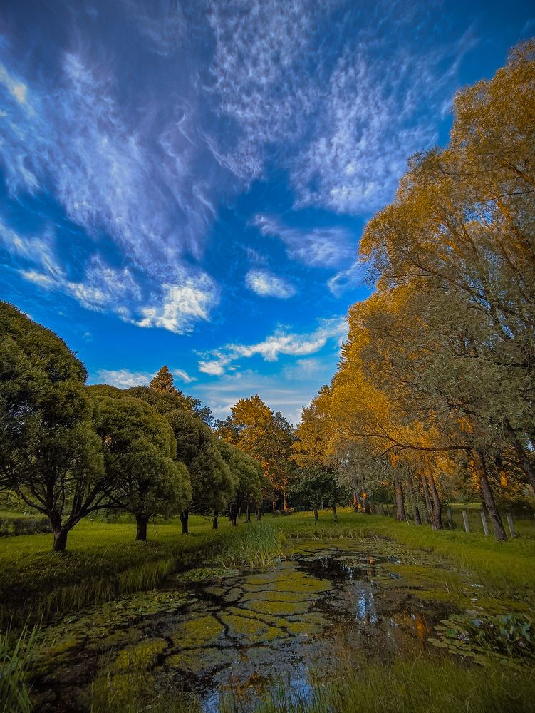 Photograph by Виктория Завадская