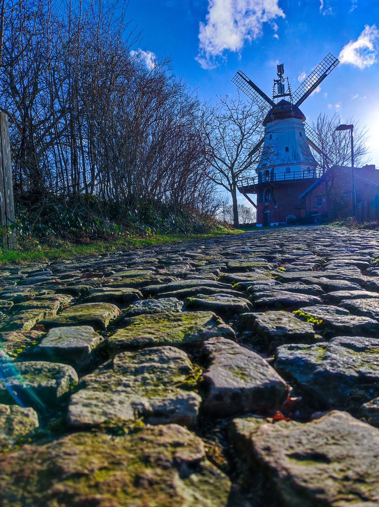 Photograph by Olga Dzemianiuk