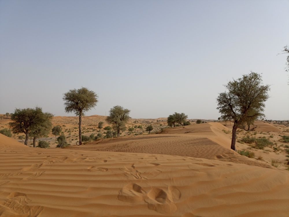 Photograph by Юлия