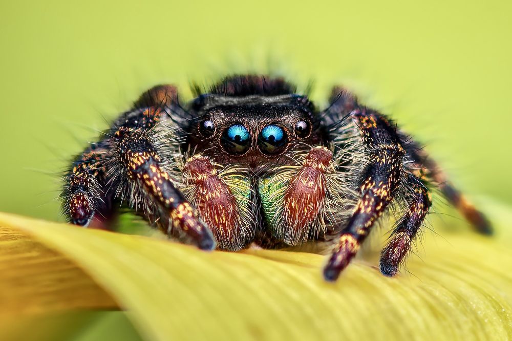 Photograph by Atul Saluja