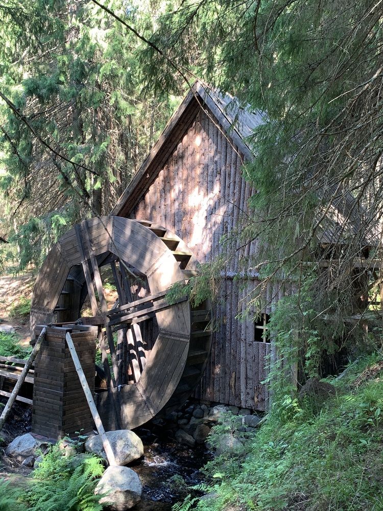 Фотография автора Ирина Шпаковская