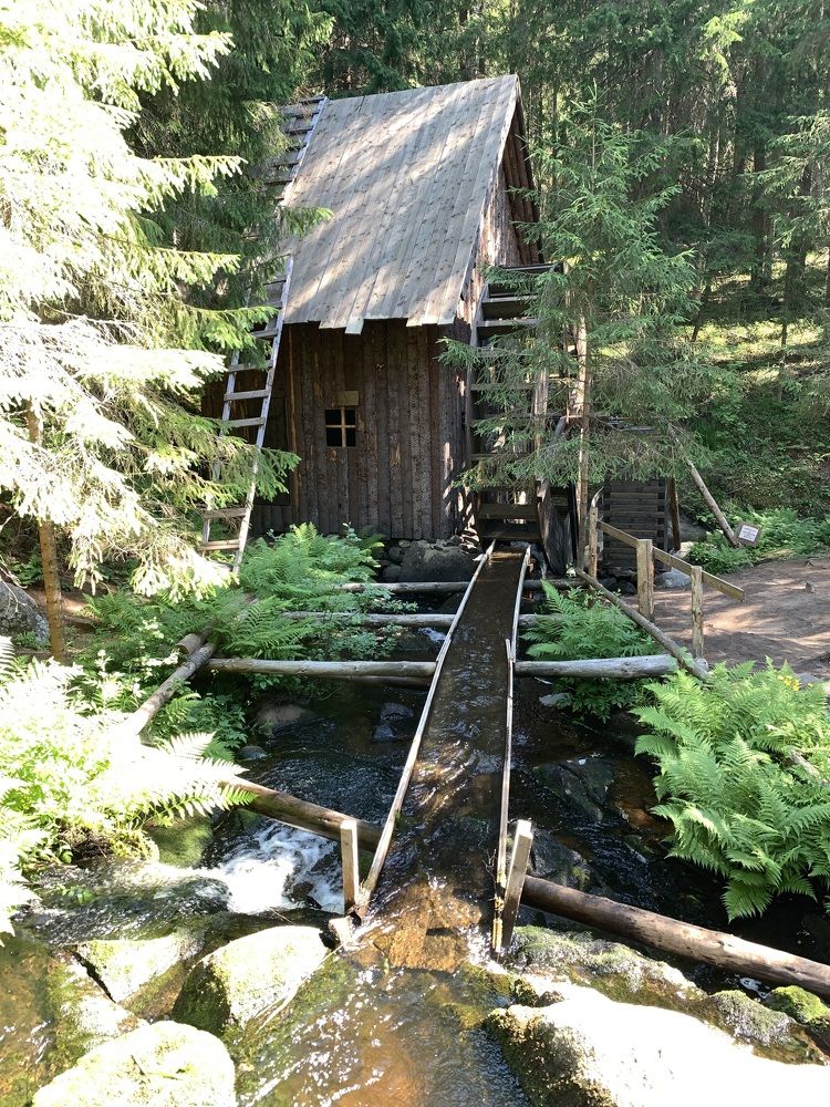 Фотография автора Ирина Шпаковская