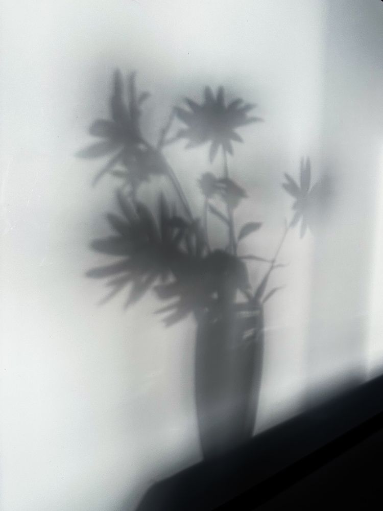 Photograph by Дина Чехова