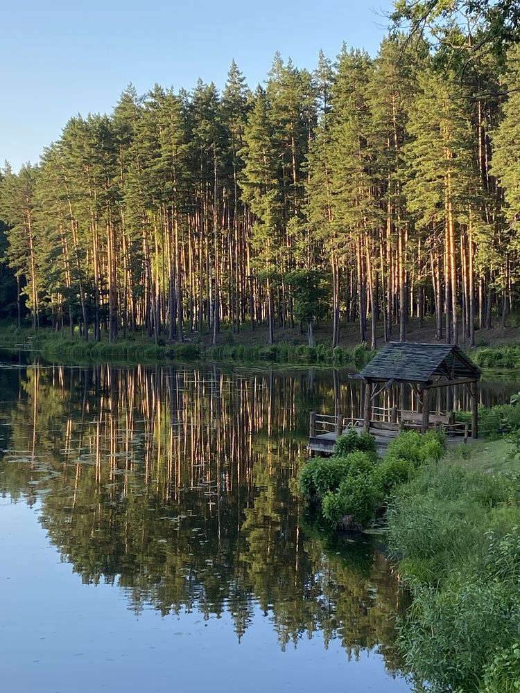 Photograph by Елена Гущина