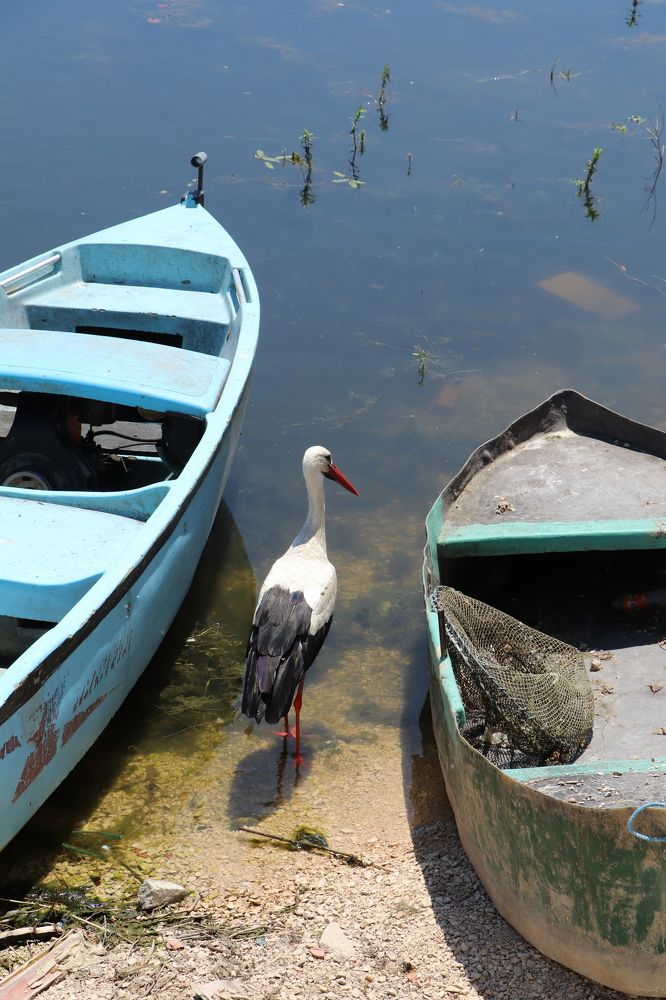 Photograph by Buket Demirel