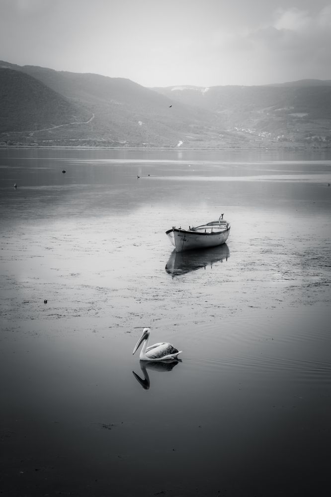 Photograph by Buket Demirel