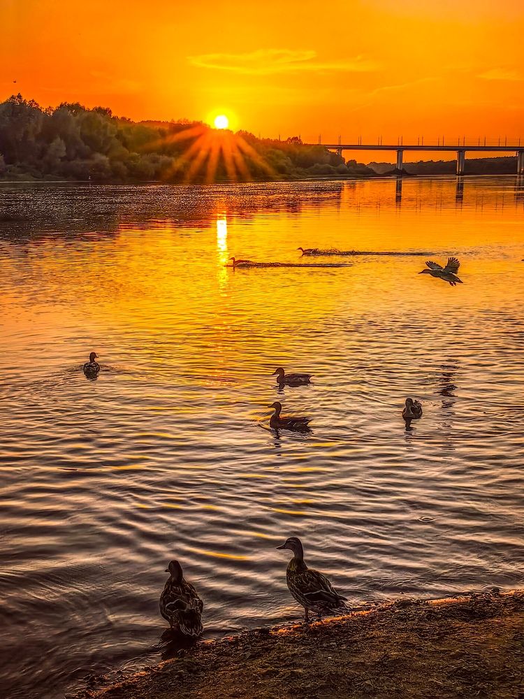 Photograph by Владимир Крылов