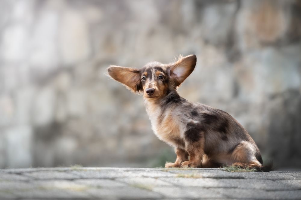 Photograph by Наталья Орел