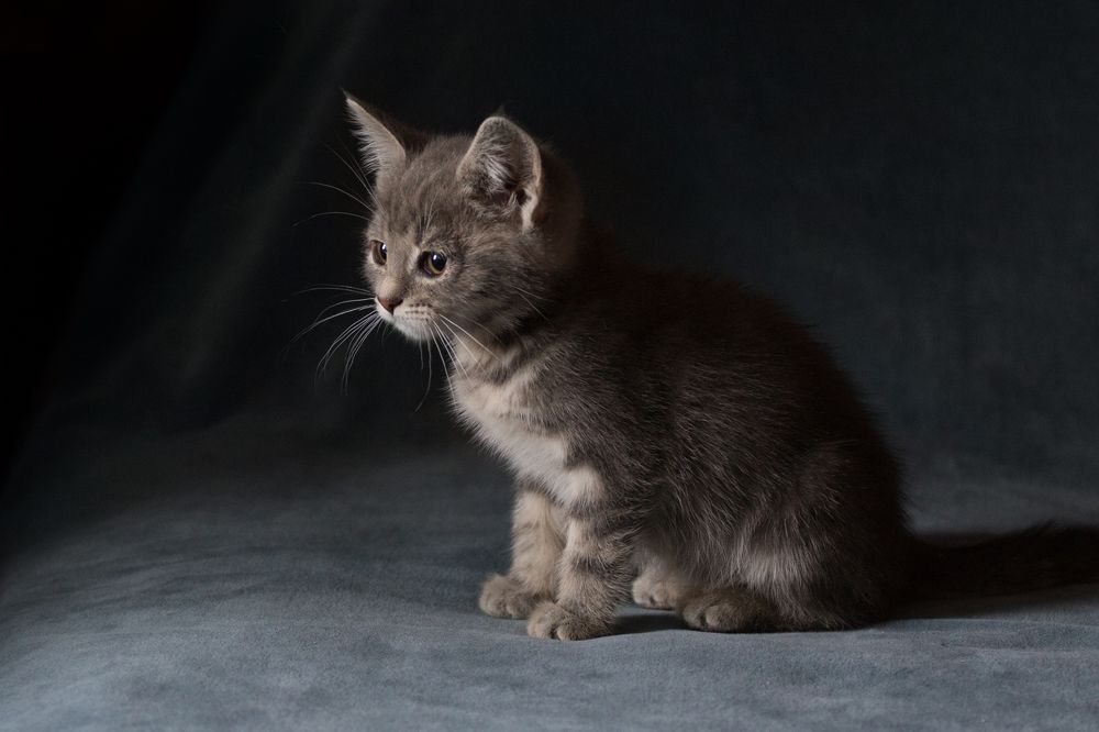 Photograph by Сергей Алексеев